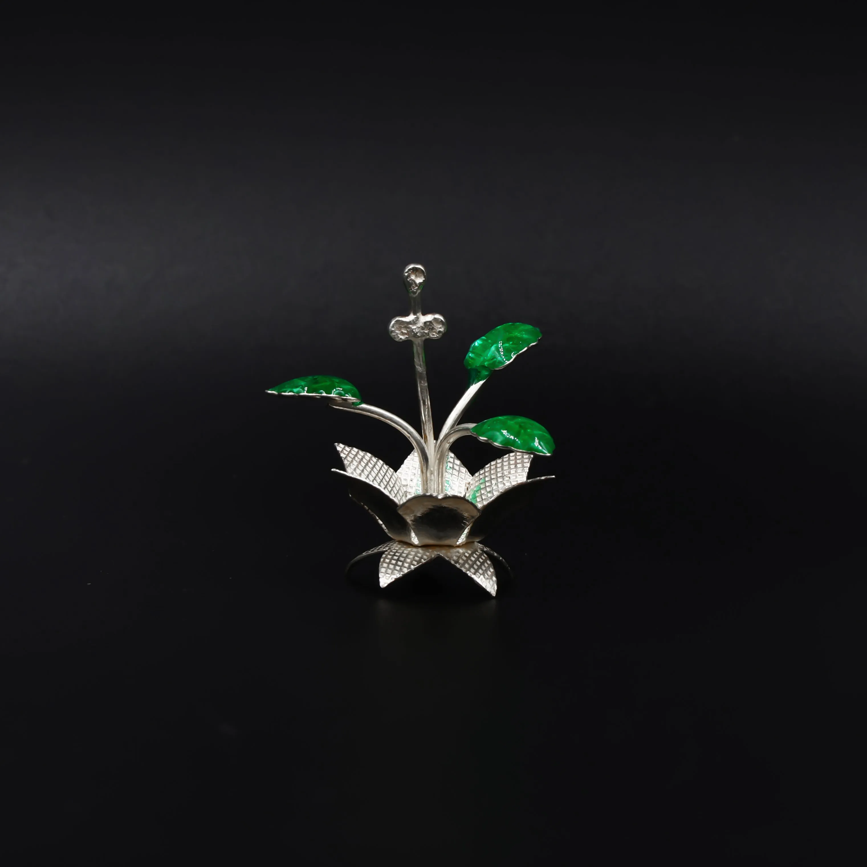 Bring Calm and Harmony to Your Life with Our Silver Tulsi Plant