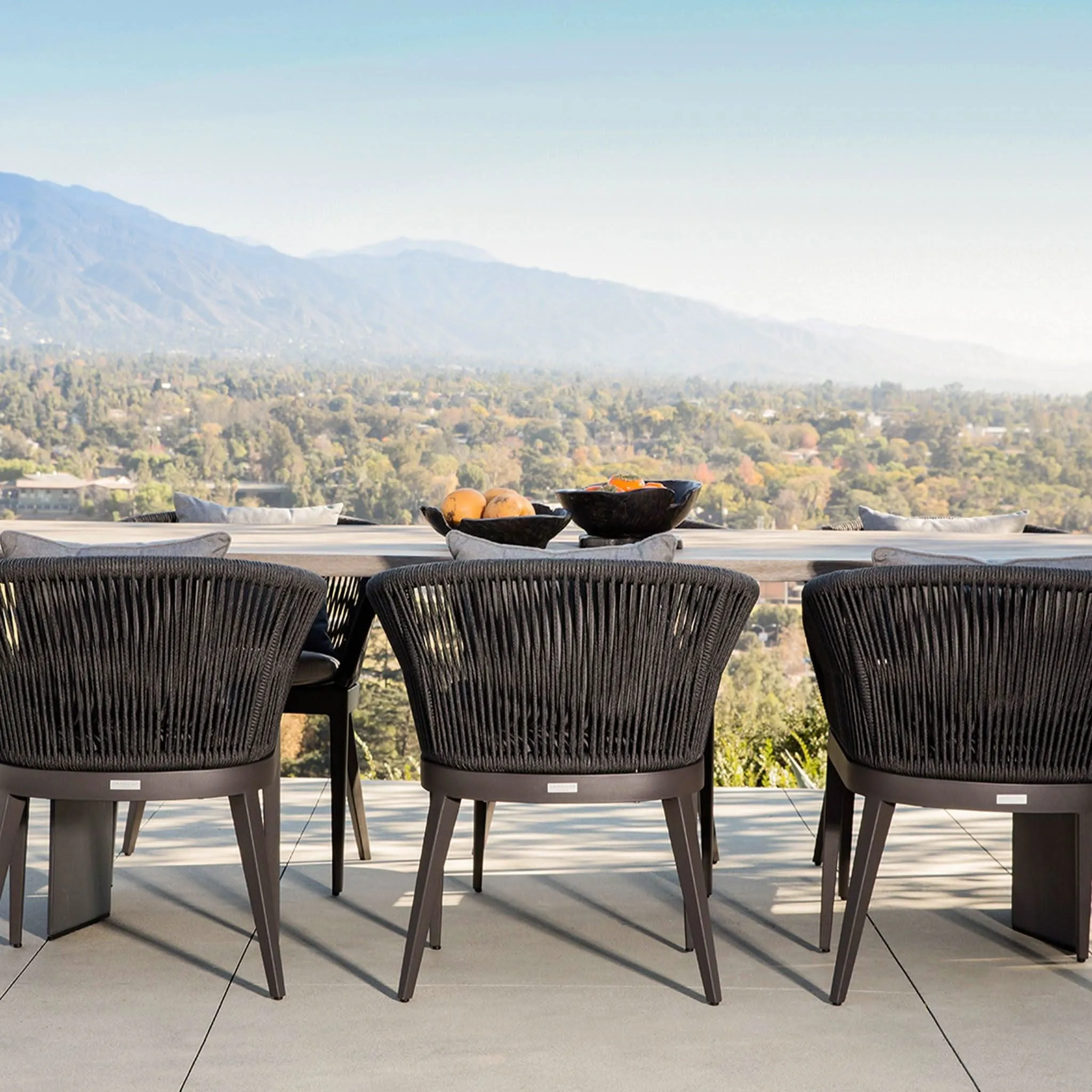 Hamilton Dining Chair