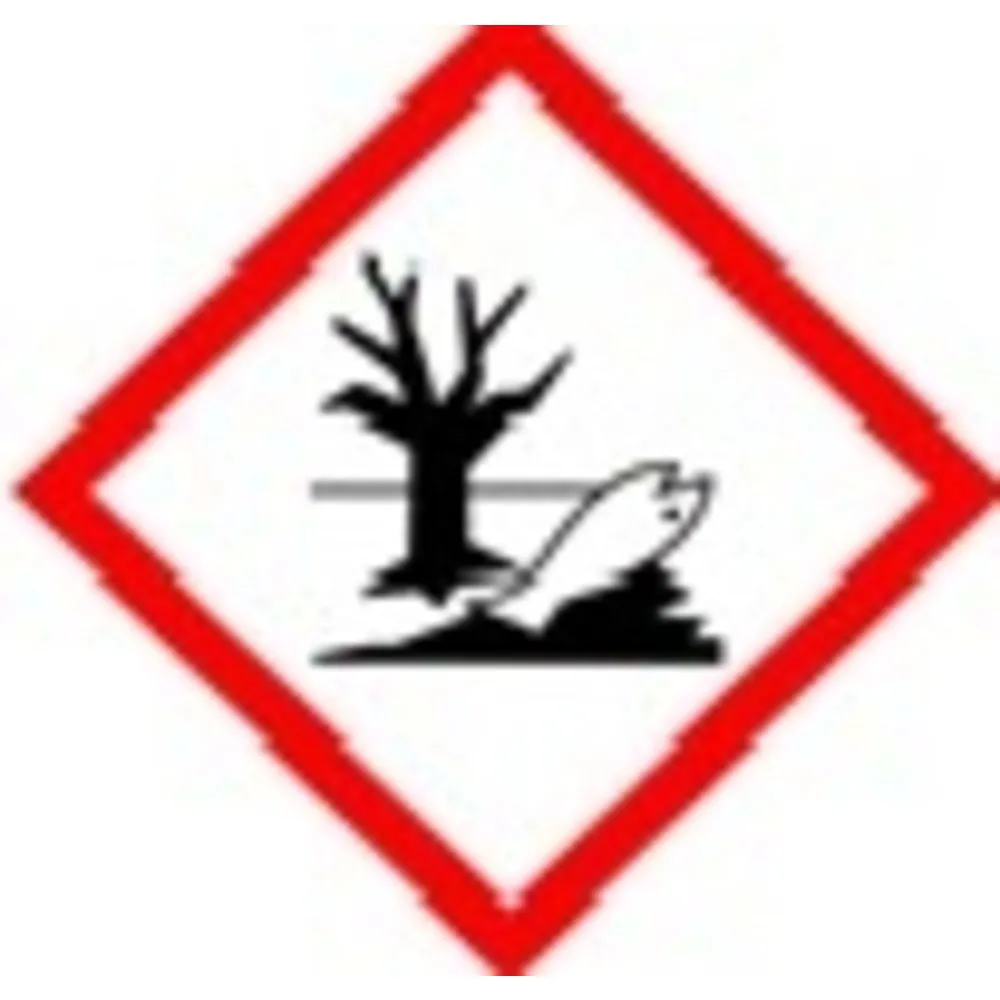Matt Varnish Spray