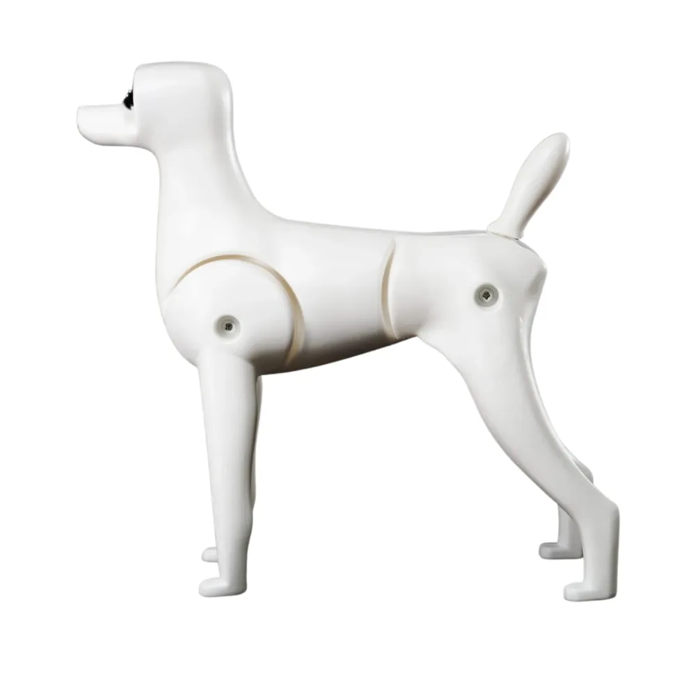 Mr. Jiang Model Dog Teddy Bear Mannequin